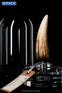 1:1 Spinosaurus Tooth Life-Size Replica (Jurassic Park III)