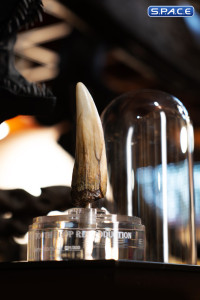 1:1 Spinosaurus Tooth Life-Size Replica (Jurassic Park III)