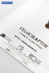 1:1 Velociraptor Foot Claw & Fossil Claw Life-Size Replica Set (Jurassic Park)