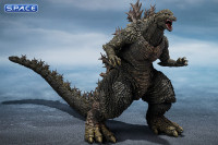 S.H.MonsterArts Godzilla (Godzilla the Ride: Great Clash)