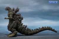 S.H.MonsterArts Godzilla (Godzilla the Ride: Great Clash)