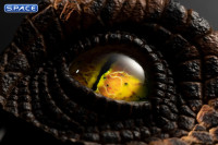 1:1 Male Velociraptor Eye Life-Size Replica (The Lost World: Jurassic Park)