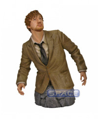 Remus Lupin Bust (Harry Potter)