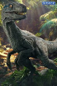 1/2 Scale Blue Legacy Museum Collection Statue - Bonus Version (Jurassic World: Fallen Kingdom)