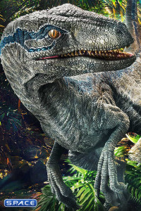 1/2 Scale Blue Legacy Museum Collection Statue (Jurassic World: Fallen Kingdom)