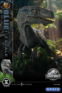 1/2 Scale Blue Legacy Museum Collection Statue (Jurassic World: Fallen Kingdom)