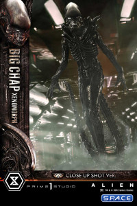1/3 Scale Big Chap Xenomorph Museum Masterline XL Statue (Alien)