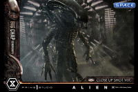 1/3 Scale Big Chap Xenomorph Museum Masterline XL Statue (Alien)