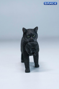 Domestic Cat with Kitten Statue (black)