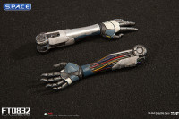 1/6 Scale Android Bill - black hair Version