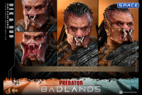 1/6 Scale Dek �Bone Bison Armor� and Bud Movie Masterpiece Set MMS873 (Predator: Badlands)