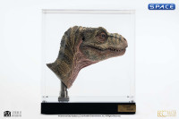 1:1 Junior T-Rex Life-Size Bust (The Lost World: Jurassic Park)