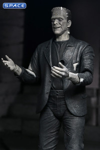 The Monster and his Mate 2-Pack - black & white Version (Bride of Frankenstein)