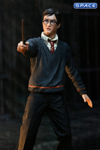 Harry Potter - The Legacy Collection (Harry Potter)