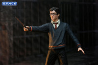 Harry Potter - The Legacy Collection (Harry Potter)