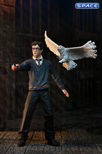 Harry Potter - The Legacy Collection (Harry Potter)