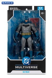 Batman from Batman: Hush 2 (DC Multiverse)