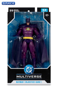 Batman Injustice Gang from JLA: Rock of Ages - Red Platinum Version (DC Multiverse)
