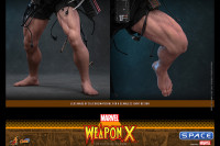 1/6 Scale Weapon X Comic Masterpiece CMS034 (Marvel)