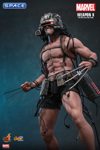 1/6 Scale Weapon X Comic Masterpiece CMS034 (Marvel)