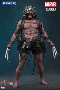 1/6 Scale Weapon X Comic Masterpiece CMS034 (Marvel)