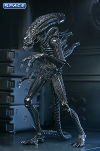 Ultimate Xenomorph Warrior - 40th Anniversary Version (Aliens)