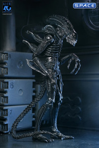 Ultimate Xenomorph Warrior - 40th Anniversary Version (Aliens)