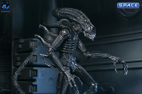 Ultimate Xenomorph Warrior - 40th Anniversary Version (Aliens)