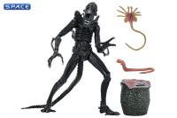 Ultimate Xenomorph Warrior - 40th Anniversary Version (Aliens)