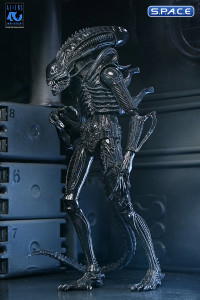 Ultimate Xenomorph Warrior - 40th Anniversary Version (Aliens)