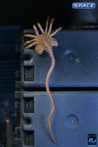 Ultimate Xenomorph Warrior - 40th Anniversary Version (Aliens)