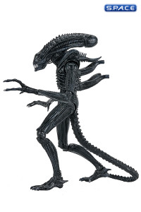 Ultimate Xenomorph Warrior - 40th Anniversary Version (Aliens)