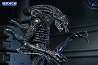 Ultimate Xenomorph Warrior - 40th Anniversary Version (Aliens)