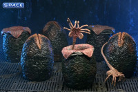 Alien Eggs Accessory Pack - 40th Anniversary Version (Aliens)