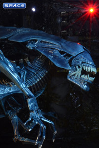 Ultra Deluxe Xenomorph Queen - 40th Anniversary Version (Aliens)