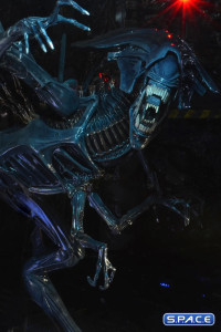 Ultra Deluxe Xenomorph Queen - 40th Anniversary Version (Aliens)