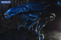Ultra Deluxe Xenomorph Queen - 40th Anniversary Version (Aliens)