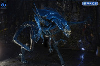 Ultra Deluxe Xenomorph Queen - 40th Anniversary Version (Aliens)