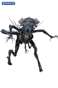 Ultra Deluxe Xenomorph Queen - 40th Anniversary Version (Aliens)