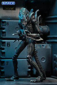 Ultimate Alien Warrior - blue Version (Aliens)