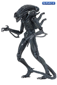 Ultimate Alien Warrior - blue Version (Aliens)