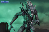 Ultimate Alien Warrior - blue Version (Aliens)