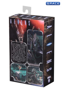 Ultimate Alien Warrior - brown Version (Aliens)