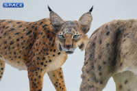 Lynx Statue - Version B