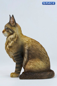 Sitting upright Maine Coon Statue - Version A