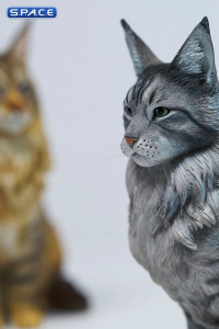 Sitting upright Maine Coon Statue - Version B