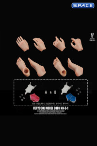 1/6 Sacle Female Body - Summer Home Version VCD-03-1A