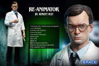 1/6 Scale Herbert West (Re-Animator)