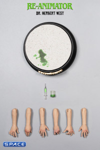 1/6 Scale Herbert West (Re-Animator)