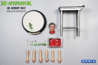 1/6 Scale Herbert West - Deluxe Version (Re-Animator)
